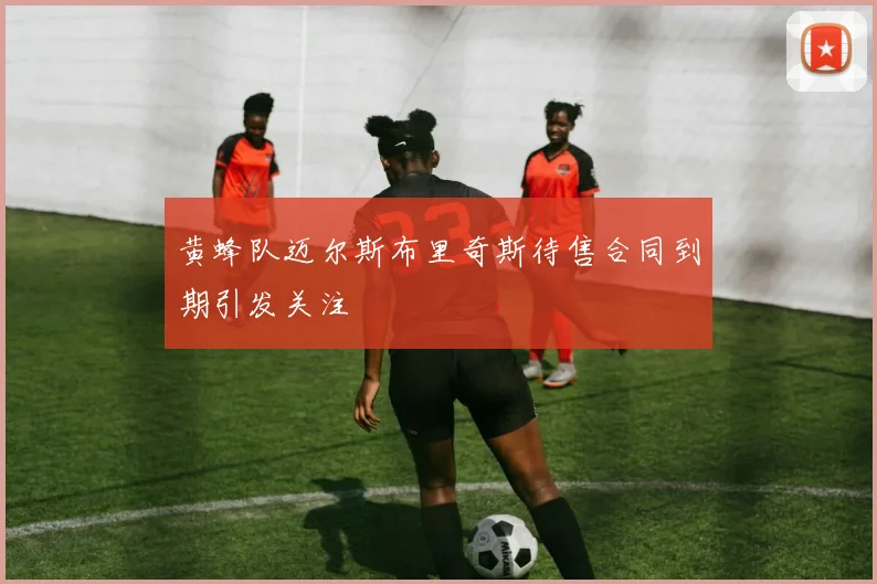 黄蜂队迈尔斯布里奇斯待售合同到期引发关注