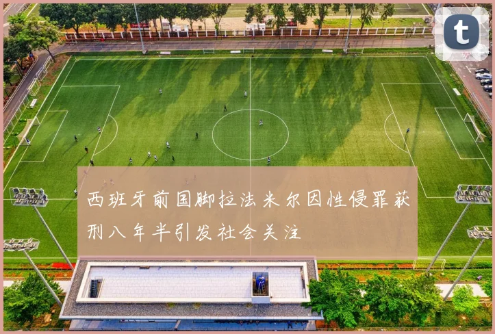 西班牙前国脚拉法米尔因性侵罪获刑八年半引发社会关注